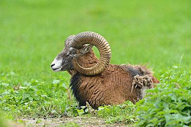 2022暑期高能电玩节 国产猎奇惊悚AVG《罪狱：soul》即将发售