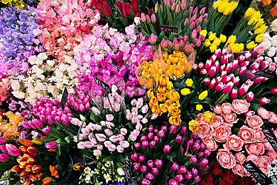 不要再等了！《博德之门3》全新史低大促开启！